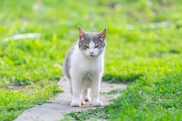 Similar image 22061228