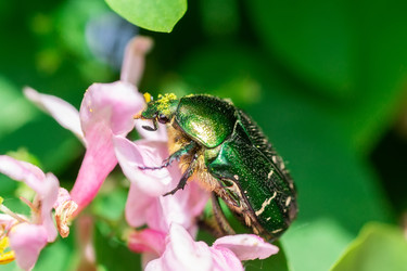 Similar image 22061236