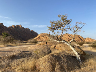 Similar image 22061772