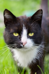 Similar image 22061035