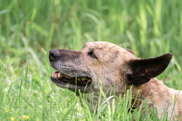 Similar image 22061036