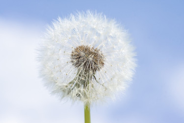 Similar image 22061037