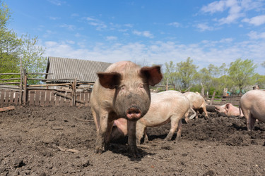 Similar image 22061044