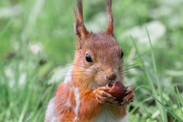 Similar image 22061046