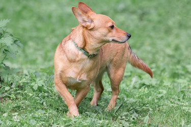 Similar image 22061047