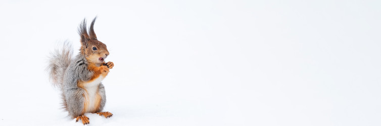 Similar image 22061253