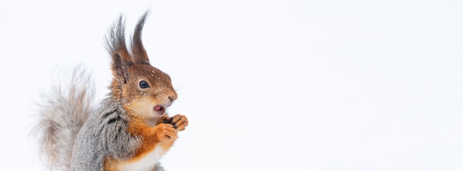 Similar image 22061254