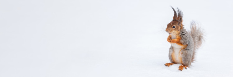 Similar image 22061256