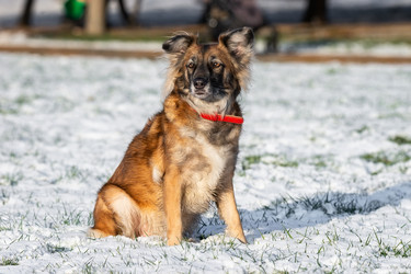 Similar image 22061263