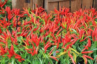 Similar image 22059322