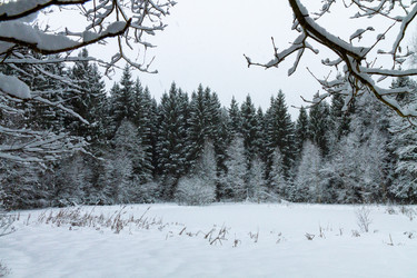 Similar image 22059323