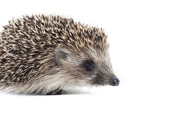 Similar image 22061624