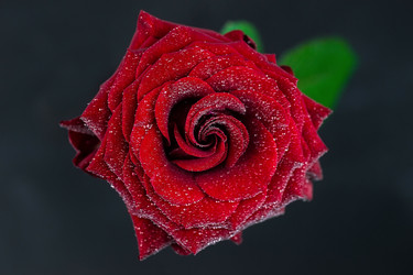 Similar image 22061654