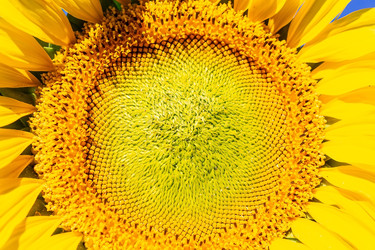 Similar image 22061657