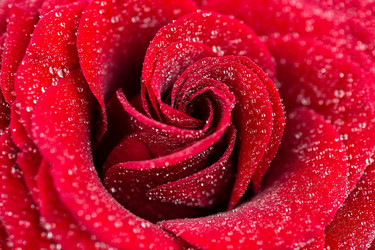 Similar image 22061658