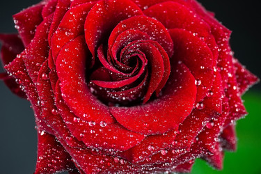 Similar image 22061661