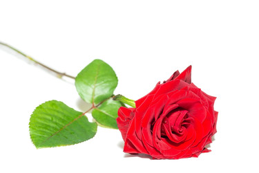 Similar image 22059990