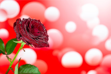 Similar image 22059993