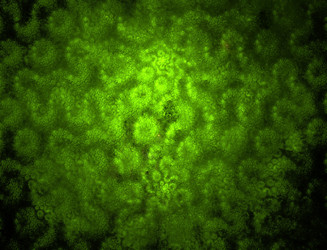 Similar image 22069038