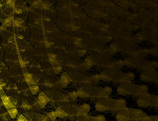 Similar image 22069049