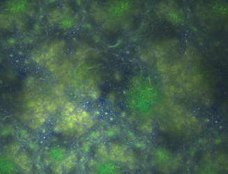 Similar image 22069059