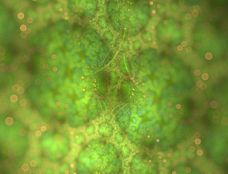 Similar image 22069076