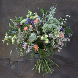 Similar image 22060157