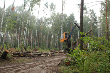 Similar image 22081036