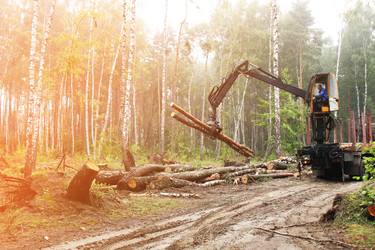 Similar image 22081037