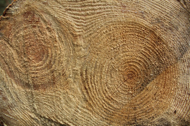 Similar image 22081042