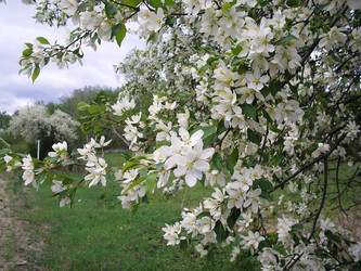 Similar image 22066669