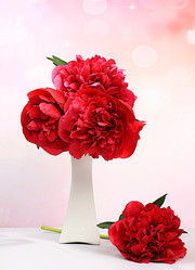 Similar image 22059697