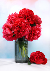 Similar image 22059698