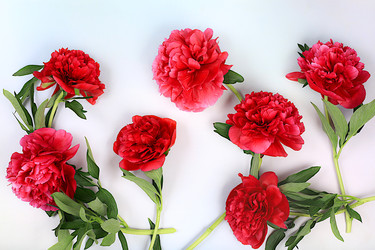 Similar image 22059699