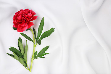 Similar image 22059700