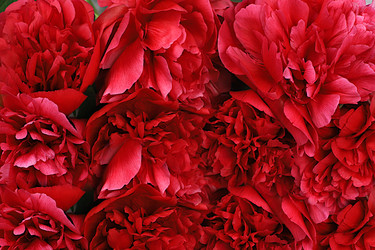 Similar image 22059704