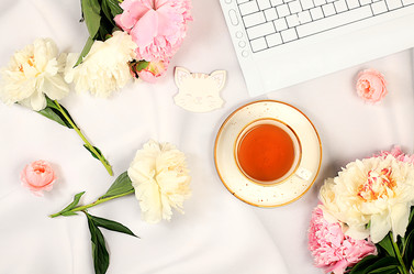 Similar image 22059710