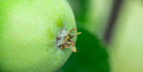 Similar image 22067599