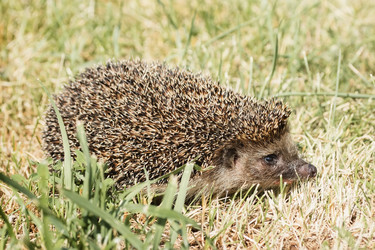 Similar image 22067612