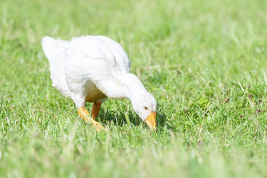 Similar image 22067619