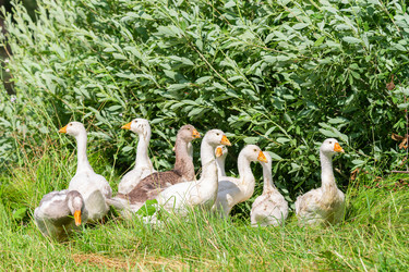 Similar image 22067622