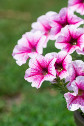 Similar image 22067626