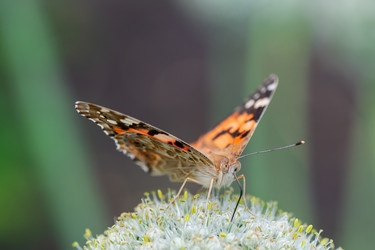 Similar image 22067632