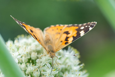 Similar image 22067634