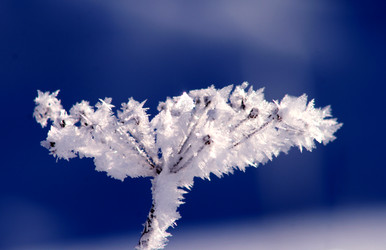 Similar image 22059328