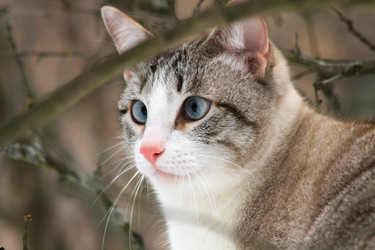 Similar image 22059329