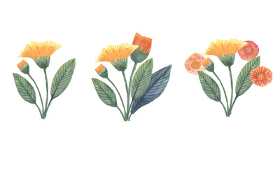 Similar image 22059337