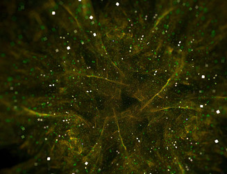 Similar image 22069455