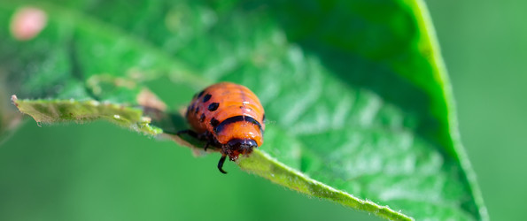 Similar image 22066322