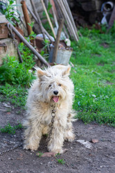 Similar image 22066323